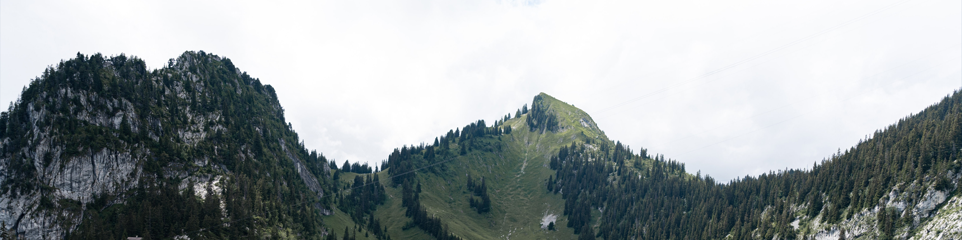 云南旺路国际旅行社有限公司