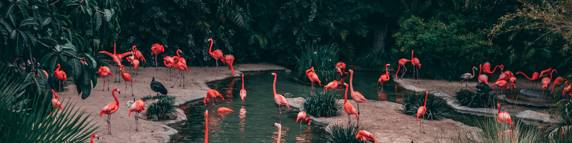 云南旺路国际旅行社有限公司